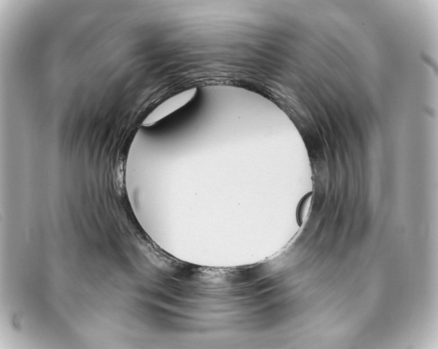 X0000093360190200710251140