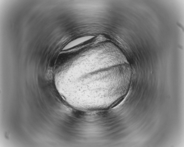 X0000093360191200710251140