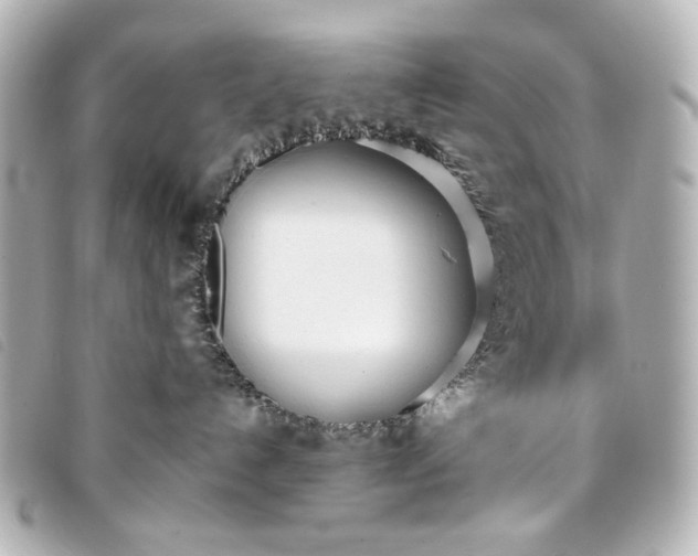 X0000093360192200710251140