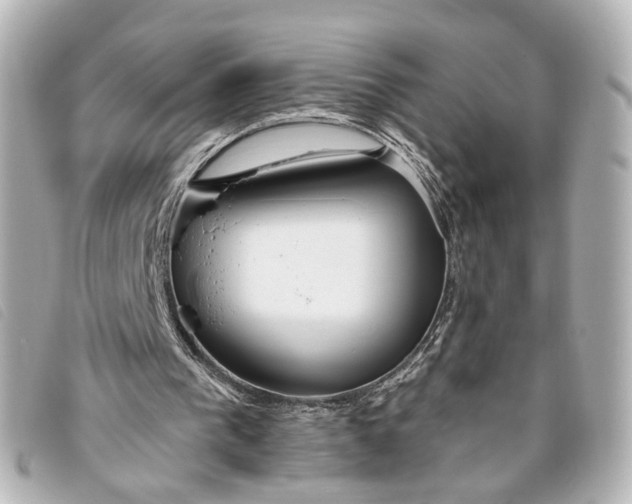 X0000093360193200710251139