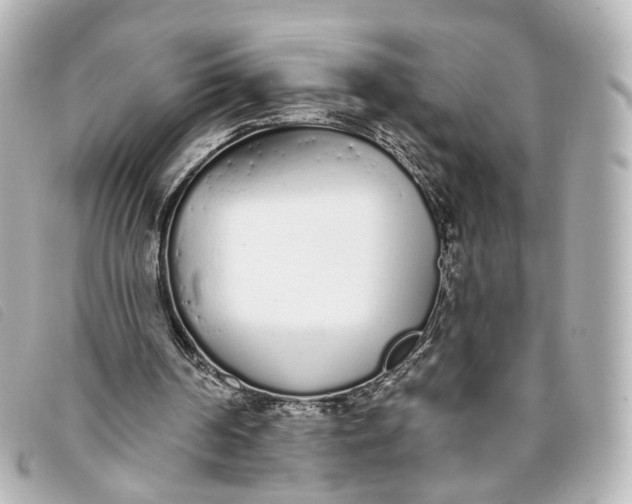 X0000093360194200710251139