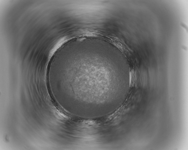 X0000093360195200710251139