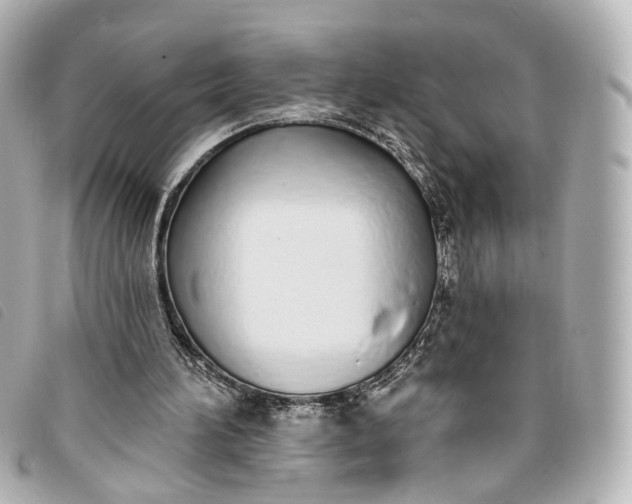 X0000093360196200710251139