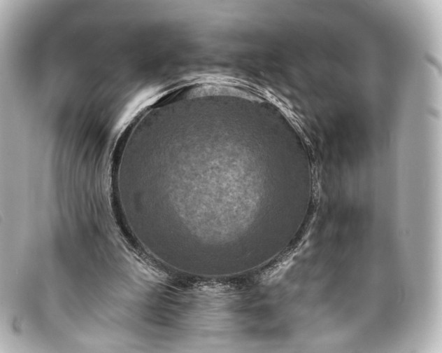 X0000093360199200710251139