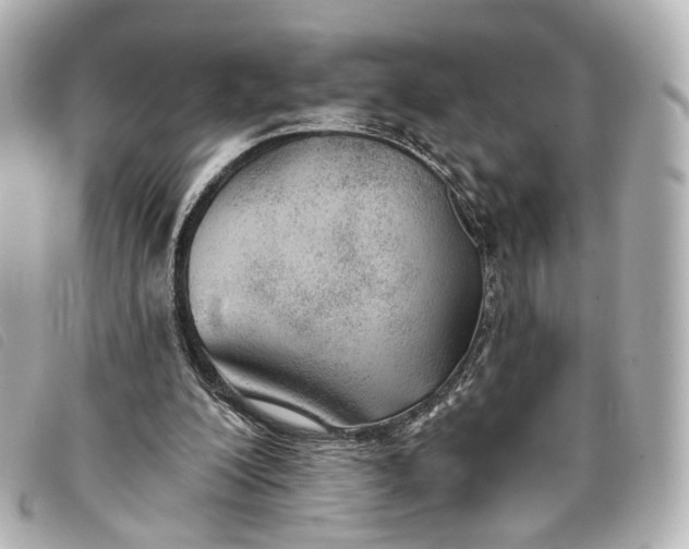 X0000093360200200710251139