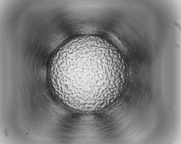 X0000093360202200710251139