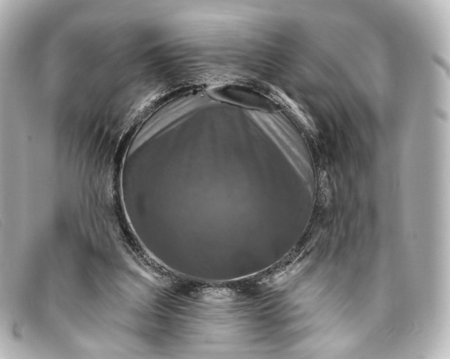 X0000093360203200710251139