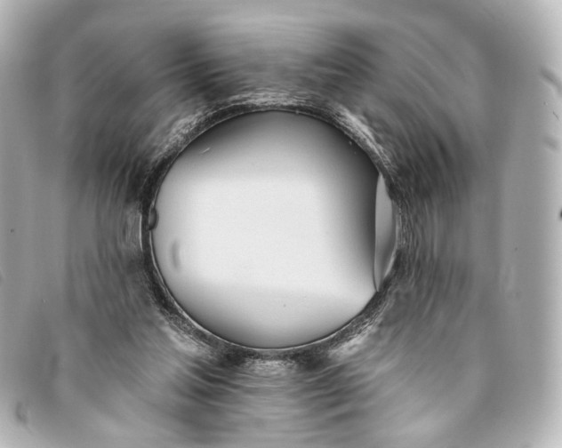 X0000093360205200710251139
