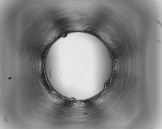 X0000093360206200710251139