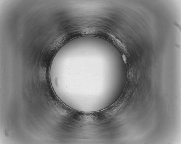 X0000093360209200710251139