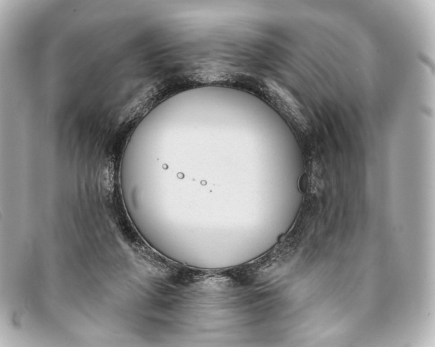 X0000093360210200710251139