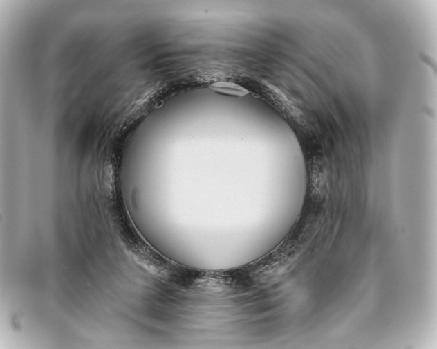 X0000093360211200710251139