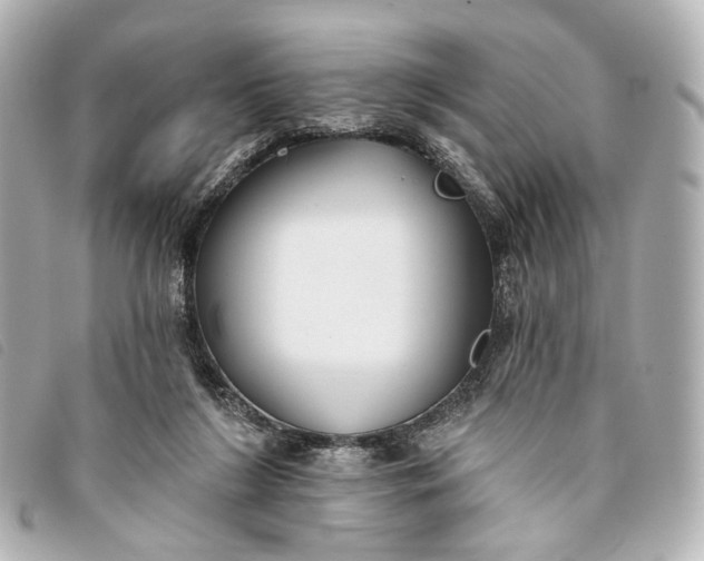 X0000093360212200710251139