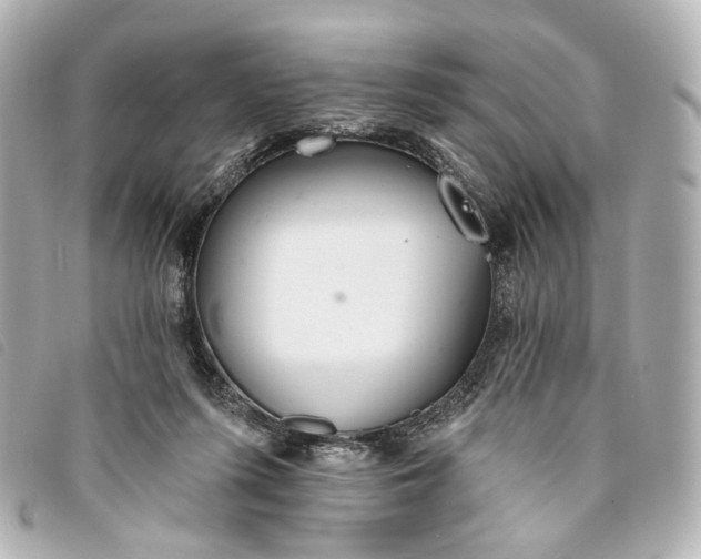 X0000093360215200710251139