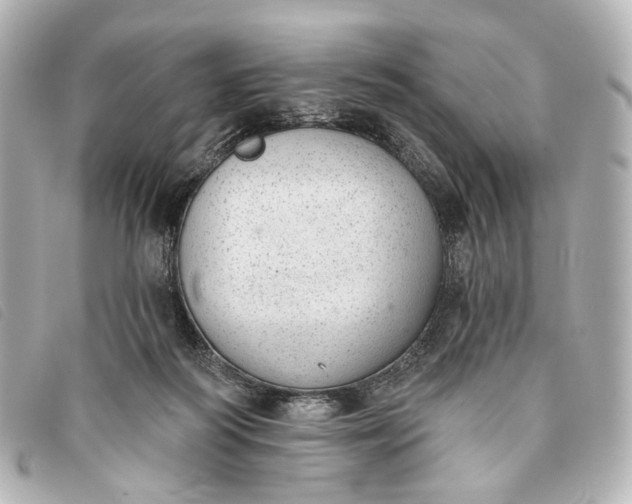 X0000093360218200710251139