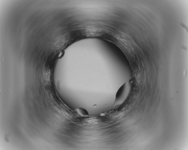 X0000093360219200710251139