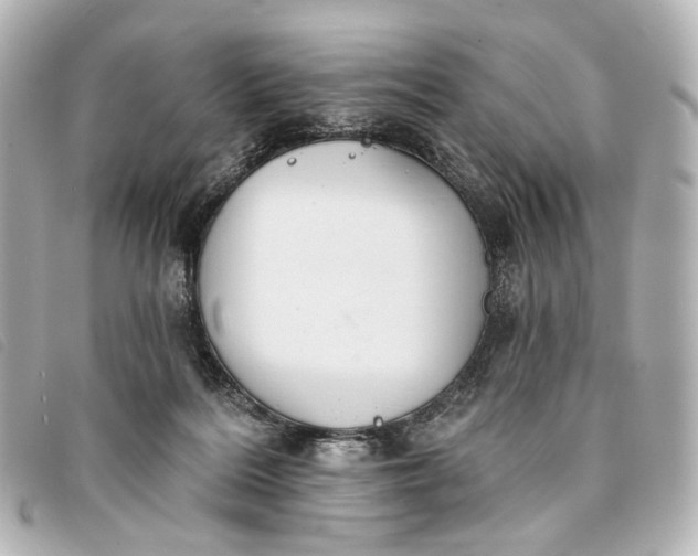 X0000093360220200710251139