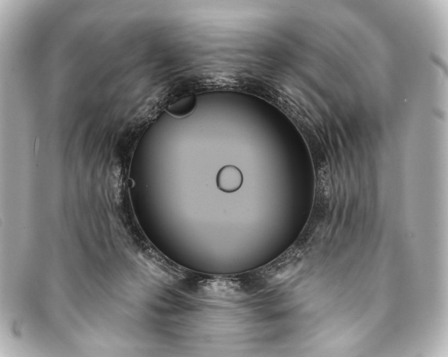 X0000093360223200710251138