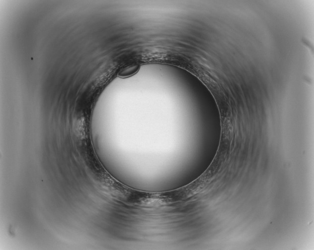 X0000093360224200710251138