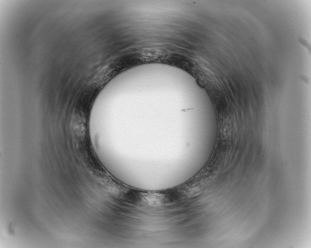 X0000093360226200710251138