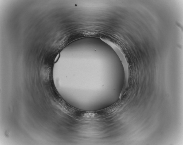 X0000093360227200710251138
