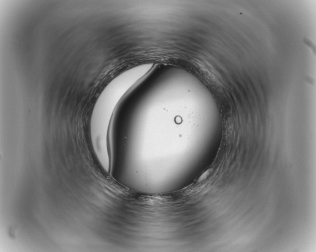 X0000093360229200710251138