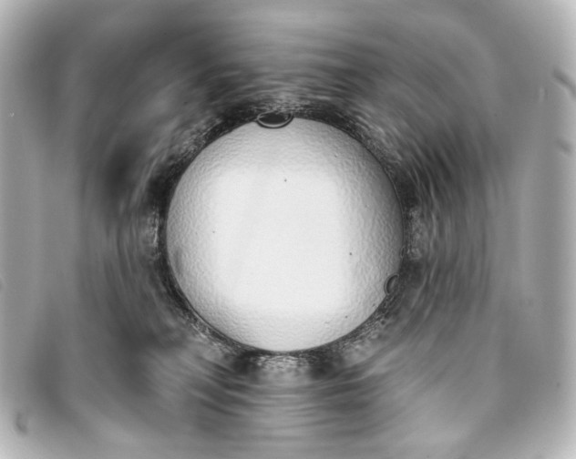 X0000093360230200710251138