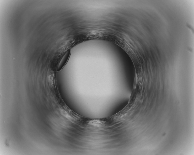 X0000093360231200710251138