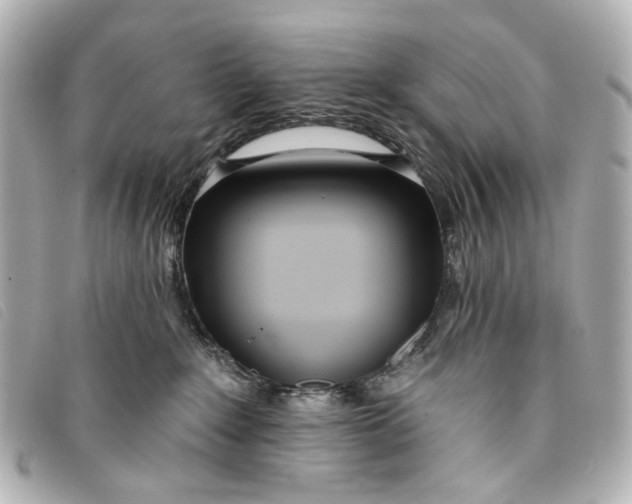 X0000093360235200710251138