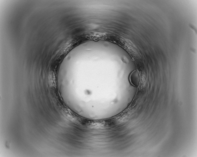 X0000093360236200710251138