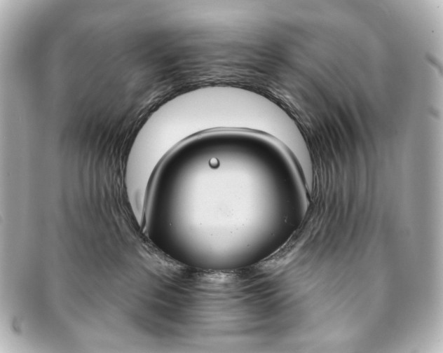 X0000093360237200710251138