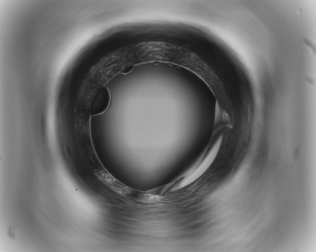 X0000093360239200710251138