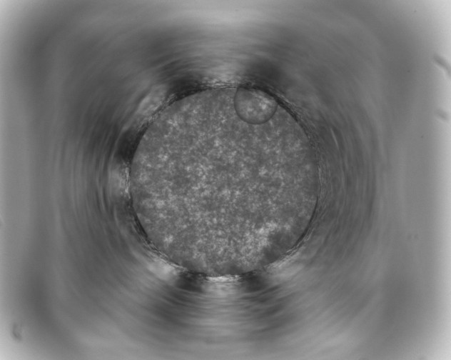 X0000093360240200710251138