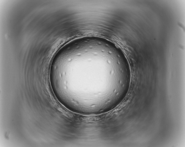 X0000093360241200710251138