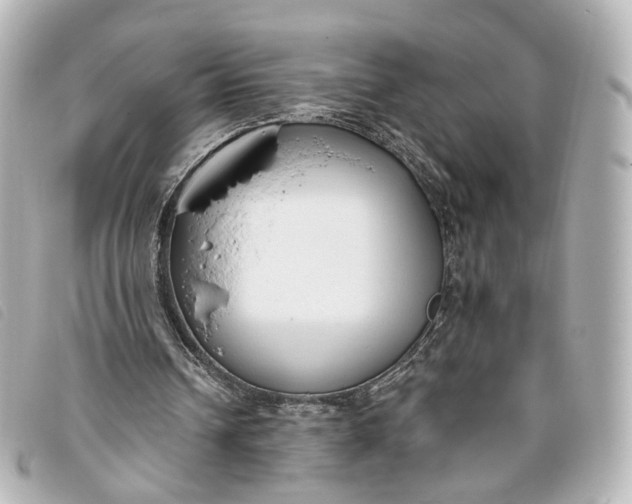 X0000093360242200710251138
