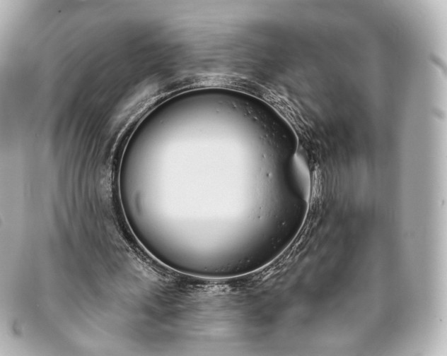 X0000093360243200710251138