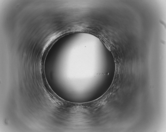 X0000093360244200710251138