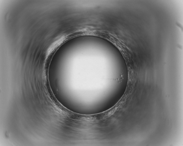 X0000093360245200710251138