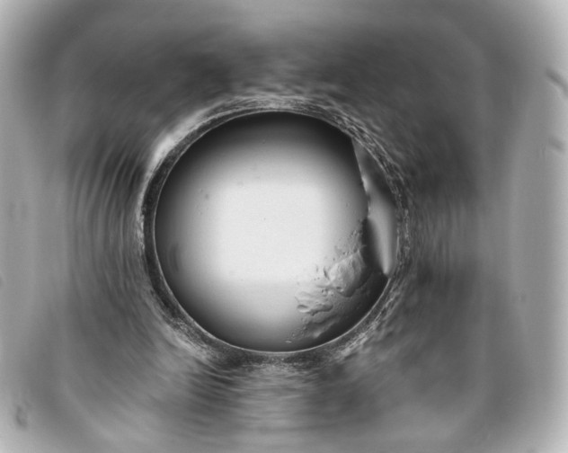 X0000093360246200710251138