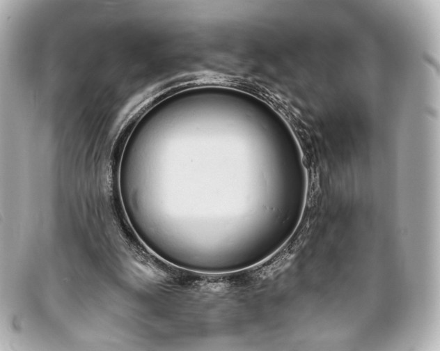 X0000093360247200710251138