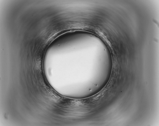 X0000093360249200710251138