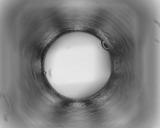X0000093360251200710251138