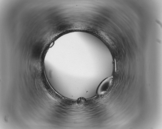 X0000093360252200710251138
