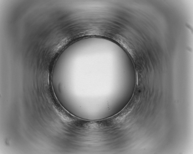 X0000093360253200710251138