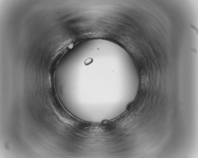 X0000093360254200710251138