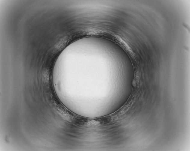 X0000093360257200710251138