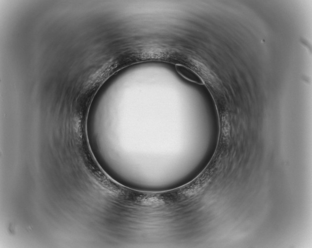 X0000093360258200710251138