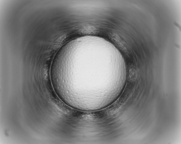 X0000093360259200710251138