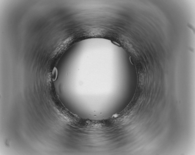 X0000093360260200710251138