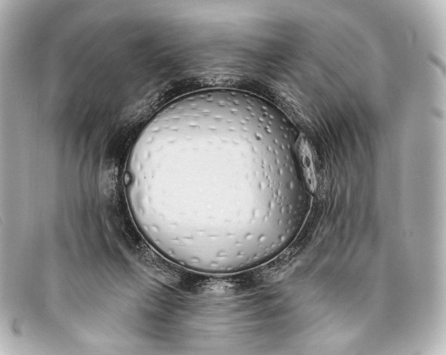X0000093360263200710251138
